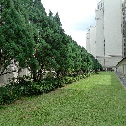 Parc Vista (D22), Condominium #49256972